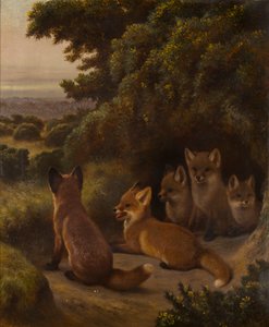 Uma ninhada de filhotes de raposa, c.1855-92 (óleo sobre tela)