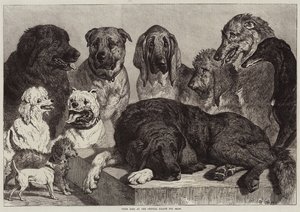 Cães de Prêmio no Crystal Palace Dog Show