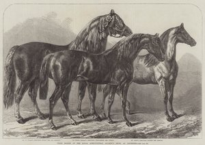 Prêmio cavalos na mostra da Royal Agricultural Society, em Leicester de Samuel John Carter