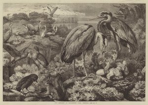 O heronry no parque de Didlington, Norfolk de Samuel John Carter