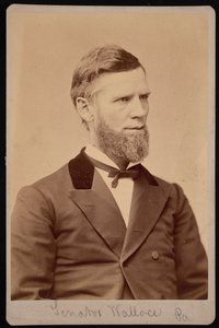 Retrato de William Andrew Wallace 1827-1896, entre 1876 e 1880.