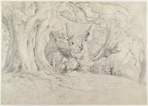 Árvores antigas, Lullingstone Park, 1828 (grafite sobre papel) de Samuel Palmer