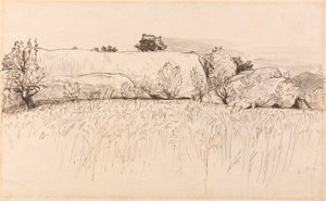 Cornfields com celeiro, Shoreham de Samuel Palmer