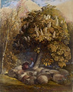 Pastoral com uma Castanheira, c.1830-31 (aguarela e bodycolour) de Samuel Palmer