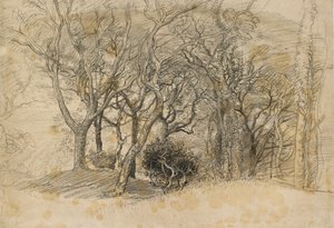 Estudo das Árvores, Clovelly Park, 1834 de Samuel Palmer