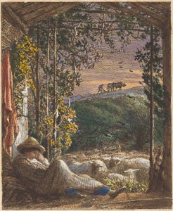 O pastor adormecido; De manhã cedo de Samuel Palmer