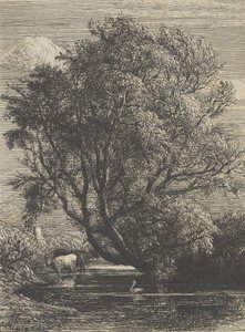 O Salgueiro, 1850. de Samuel Palmer