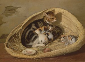 Gato com seus gatinhos em uma cesta, 1797