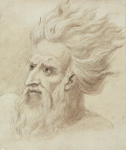 Cabeça de um homem com barba e cabelo comprido ao vento