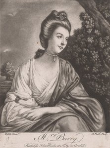 Senhora Barry de Samuel de Wilde