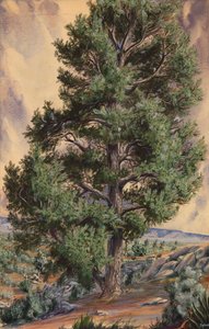 Pinheiro, s.d. de Sandow