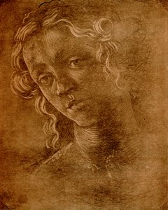 Cabeça feminina de Sandro Botticelli