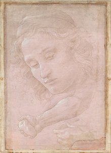 Chefe de um jovem de boné; um antebraço direito com a mão segurando uma pedra; e uma mão esquerda segurando uma cortina de Sandro Botticelli