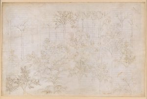 A Divina Comédia, Purgatório XXXIII. O Paraíso Terrestre: Beatriz no círculo das Virtudes; Partida; O banho de Dante no rio Eunoe de Sandro Botticelli