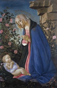 A Virgem adorando o Menino Jesus adormecido de Sandro Botticelli