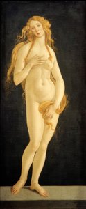 Vênus de Sandro Botticelli