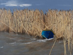  de Sandy Iseli