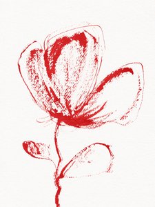 Floração vermelha abstrata de Santhosh ch