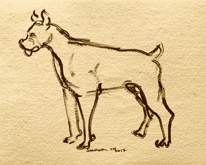 Esboço de cão boxer de Santhosh ch