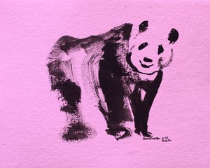 Panda cor-de-rosa adorável de Santhosh ch