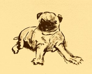 Esboço de um adorável cachorro pug de Santhosh ch