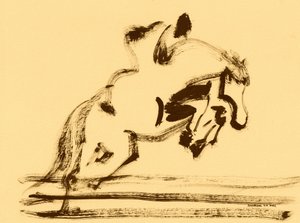 Salto equestre dinâmico de Santhosh ch