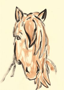 Cabeça de cavalo dinâmica de Santhosh ch