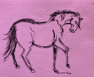 Contorno dinâmico de cavalo de Santhosh ch