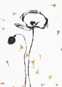 Elegantes papoilas pretas de Santhosh ch