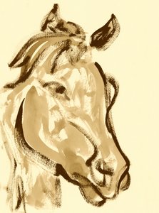 Cabeça expressiva de cavalo de Santhosh ch