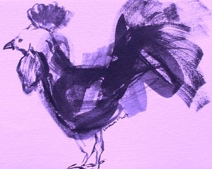 Galo roxo expressivo de Santhosh ch