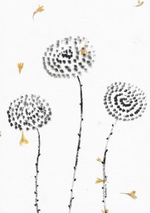 Florescer de pétalas a cair de Santhosh ch