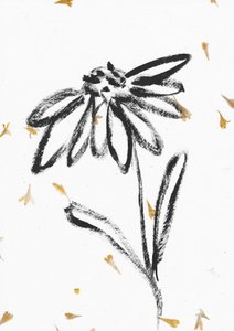 Flor com pétalas a cair de Santhosh ch