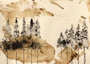 Serenidade da floresta de Santhosh ch