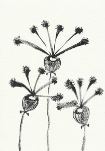 Desenho botânico minimalista de Santhosh ch