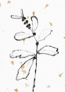 Esboço botânico minimalista de Santhosh ch