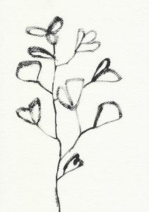 Desenho orgânico de folha de Santhosh ch