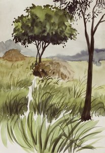 Campos verdes e tranquilos