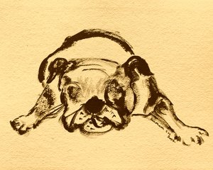 Esboço divertido de buldogue de Santhosh ch