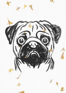 Cão pug com pétalas a cair de Santhosh ch