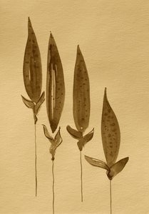 Plantas em aguarela sépia de Santhosh ch
