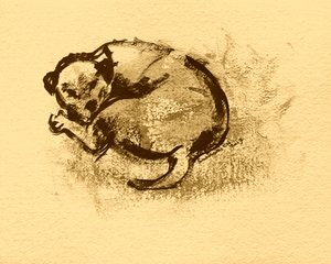 Esboço de cachorro a dormir de Santhosh ch