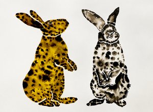 Par de coelhos malhados de Santhosh ch