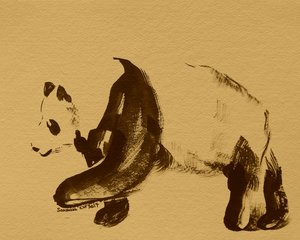 Doce passeio de panda de Santhosh ch