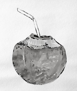 Bebida tropical de coco de Santhosh ch