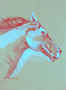 Cabeça de cavalo vibrante de Santhosh ch
