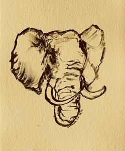 Desenho de elefante selvagem de Santhosh ch