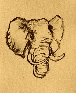 Esboço de elefante selvagem de Santhosh ch