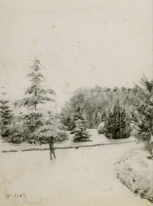 Estudo de um jardim de Santiago Rusiñol