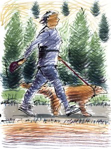 Andando o cão, 2009 (acrílico) de Sara Hayward